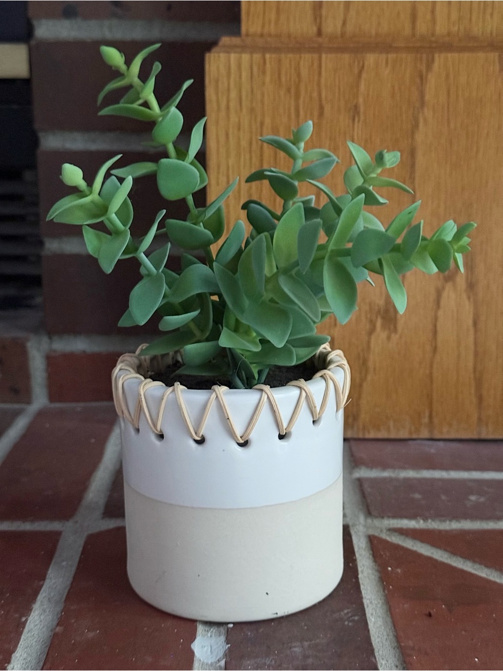 Neutral Two-Tone Ceramic Planter with Green Faux Plant
